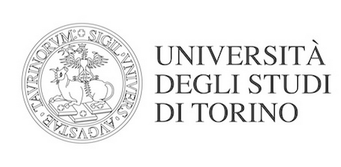 Torino logo 1 3 2562